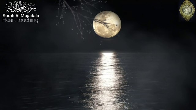 Quran recitation with beautiful voice Heart-Touching Recitation of Surah Al-Mujadila | Soothing & Powerful 📖✨ #allah#quran#islam#peace#tilawat#recitation