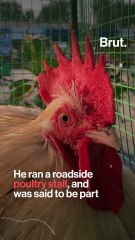 Narayan Rane: Street-Fighter To Union Minister