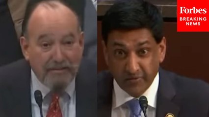 'Have You Ever Watched A Daniel Tiger Show?': Ro Khanna Grills Anti-PBS Witness