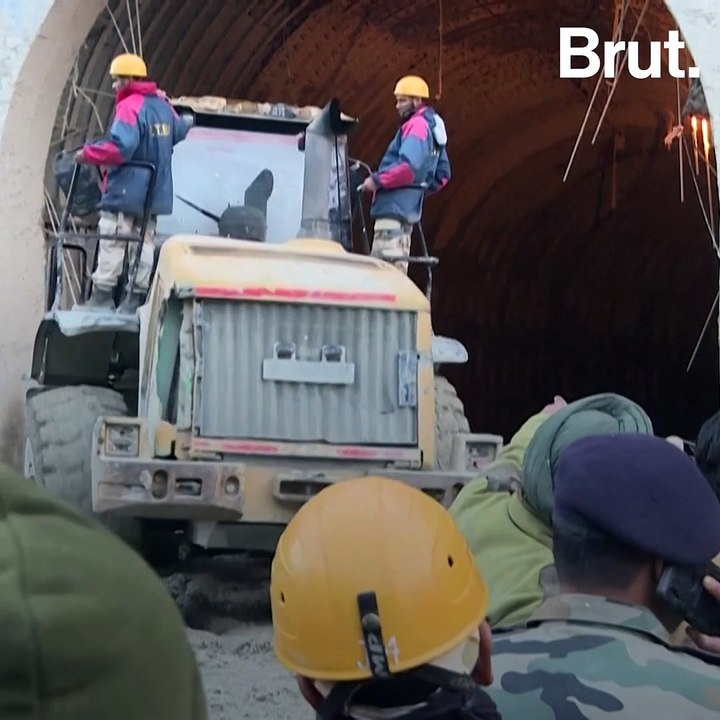 Dog Waits For Workers Stuck In Tunnel After Glacier Burst