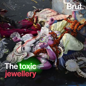 Beach Warriors Work Tirelessly To Save Marine Life