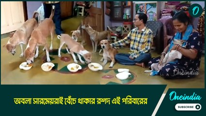 Dog Lover | অবলা সারমেয়রাই বেঁচে থাকার রশদ এই পরিবারের, তাঁদেরকে নিয়েই কাটে সারাদিন!