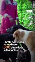 Animal Lover Feeds Around 500 Dogs Daily