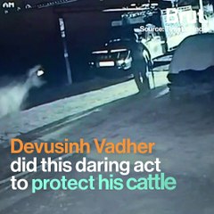 Gujarat Man Staves Off Lion Attack With A Stick