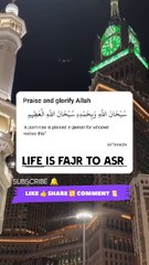 Dua : Plant a palm tree in Jannah by reciting this Dua #dua