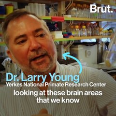 Love at First Sight, Explained by Science