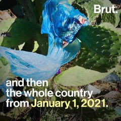 5 Good News Stories For The Planet