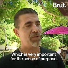 Man's Best Friend - Animals