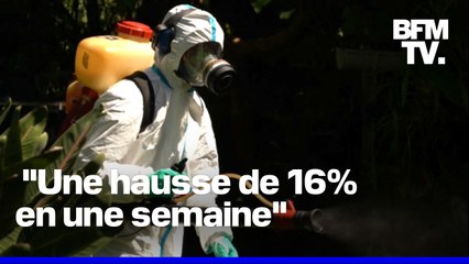 Chikungunya: l'épidémie progresse à La Réunion avec 4.156 nouveaux cas en une semaine