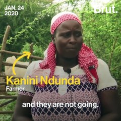 Migratory Pests From The West