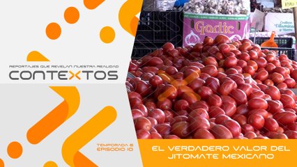 T6 Ep.10 - El verdadero valor del jitomate mexicano | Contextos, reportajes que revelan nuestra realidad