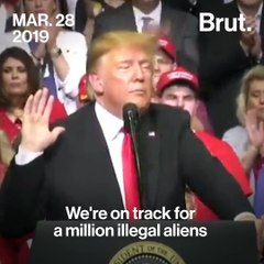 Was Trump's Message About Immigration Copied By A Mass Shooter?