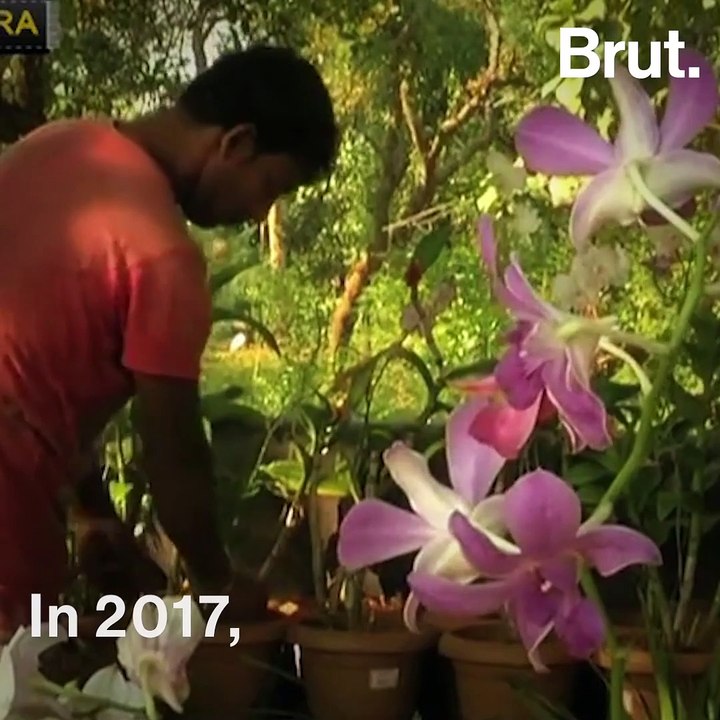 Indian Agriculture's New Crop Of Harvests