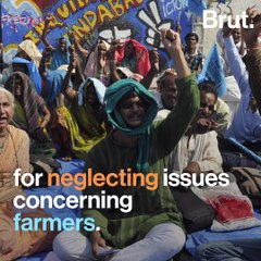 Why Medha Patkar Is Unhappy With India's Intellectuals