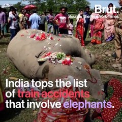 Indian Railways Mascot Meets Dangerous Fate on Tracks
