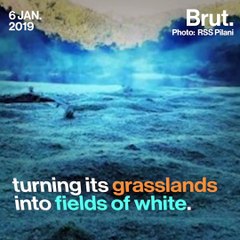 Winter Springs Frosty Surprise On Kerala