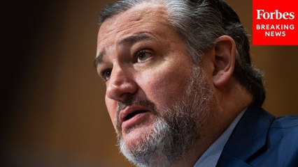 'It Didn't Have To Happen': Ted Cruz Pledges To Do All He Can To Probe Deadly Plane-Helicopter Crash