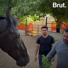 Bollywood Celebrities Cope With Lockdown