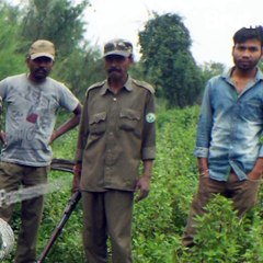 Poachers Are The Hunted Species In This National Park