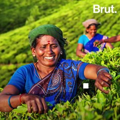 5 Reasons Why Kerala Is God’s Own Country