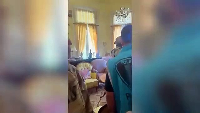 Clausuraron un criadero ilegal de gatos en Constitución