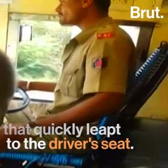 Monkey Drives Bus In Karnataka (With About 30 Passengers On Board)