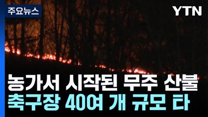 농가에서 시작된 무주 산불...축구장 40여 개 면적 불 타 / YTN