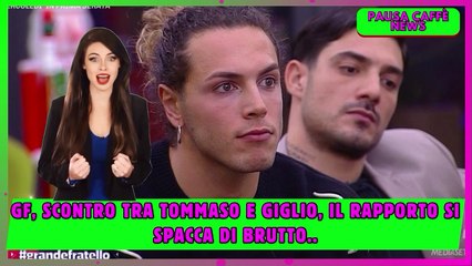 GF, scontro tra Tommaso e Giglio, il rapporto si spacca di brutto..