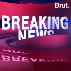 Little Journalist Investigates Snowfall Tunnel