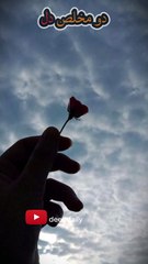 The Power of Sincere Hearts | A Wise Saying of Imam Ali (A.S.)