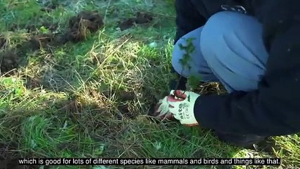 LNER funding helps create Doncaster nature reserve