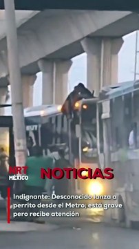 Un perrito fue cruelmente arrojado desde el Metro en Monterrey y cayó sobre el techo de un camión. Fue rescatado con graves lesiones y ya recibe atención veterinaria.