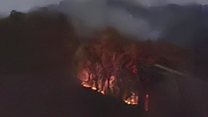 경기 파주 조리읍에서 또 산불...1시간여 만에 진화 / YTN