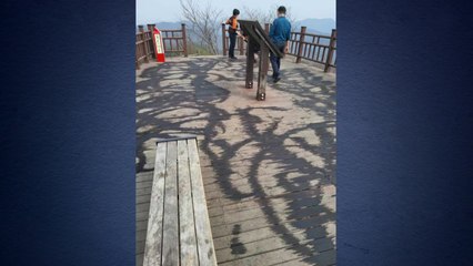 화성 태행산 정상 데크에 폐기름 추정 물질...경찰 수사 / YTN