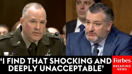 'You're Not Answering My Question': Ted Cruz Lights Into Army Official Over DCA Midair Collision