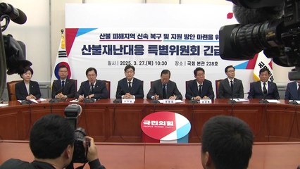 여당 산불특위, '특별재난지역 확대·특교세 선지급' 건의 / YTN