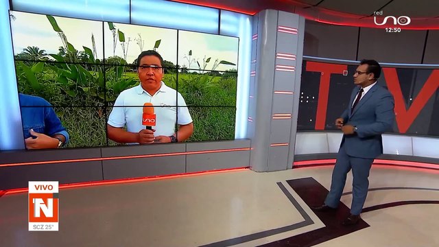 Inundaciones afecta la producción agrícola en Guarayos