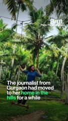 These Rag Dolls Are Every Feminist's Pride