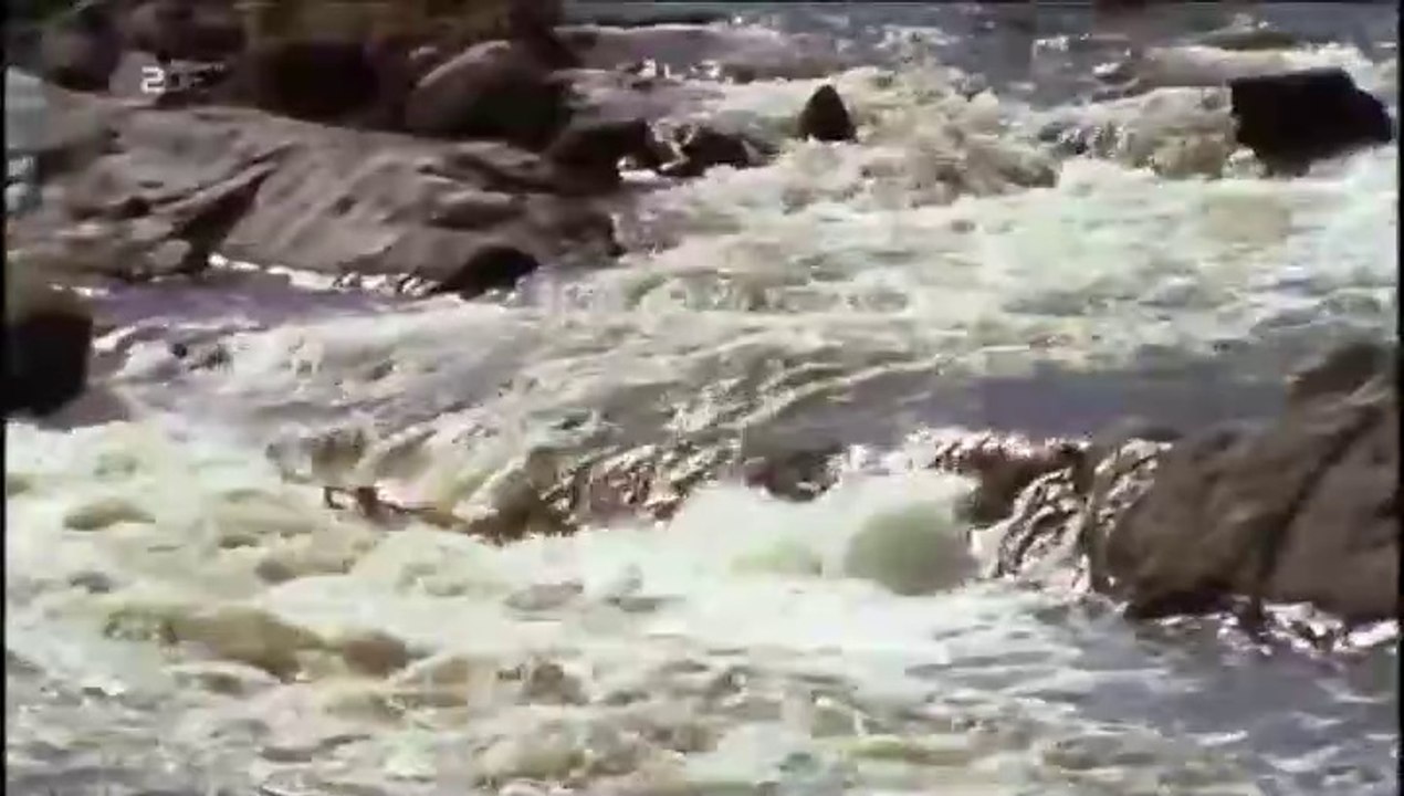 Inga Lindström -007- Mittsommerliebe