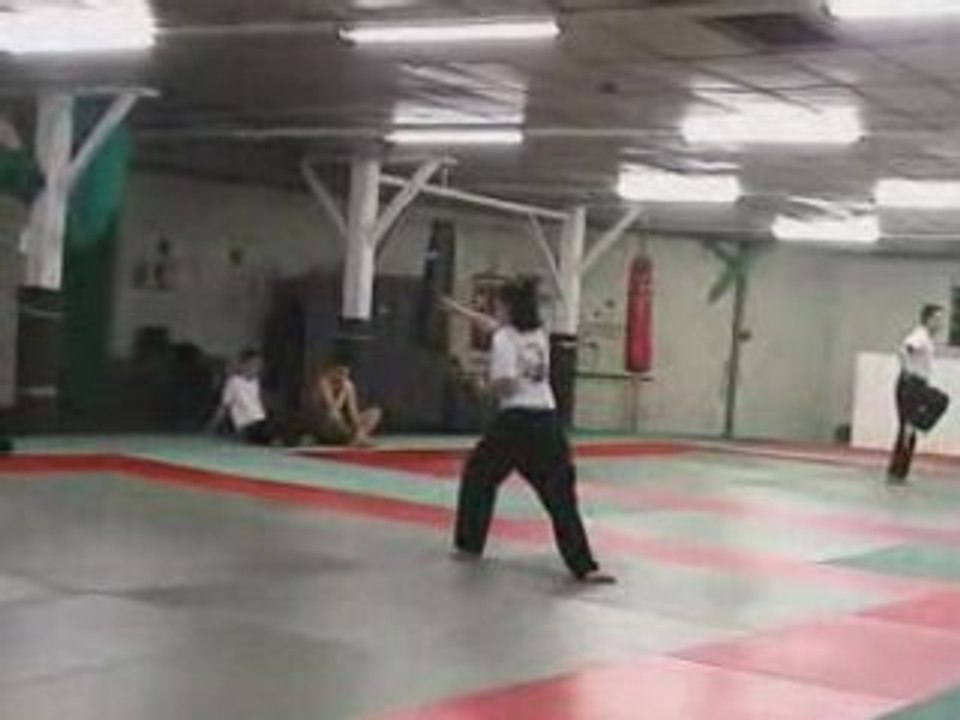 1er quyen Long Ho Hoi adulte par Eléa