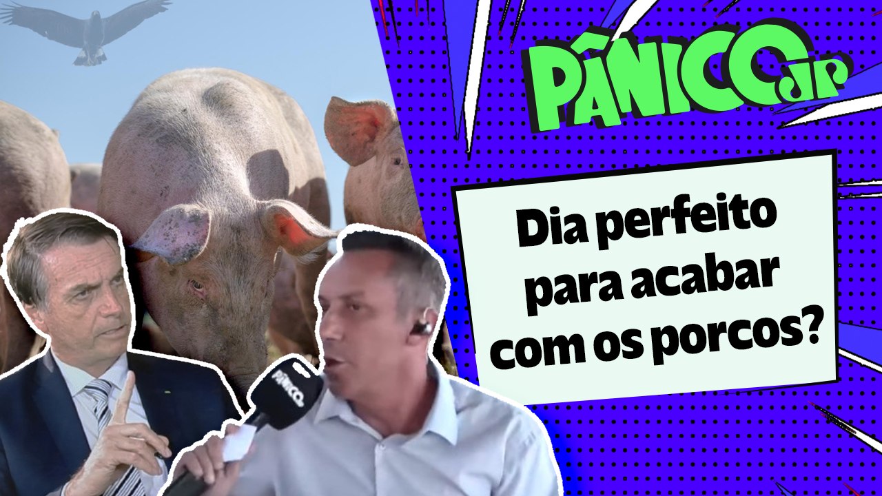 ALTA DOS ALIMENTOS TÁ TÃO COMPLICADA QUE ATÉ O BOLSONARO TÁ NA FEIRA DO TORRESMO? FUZIL VAI À FEIRA