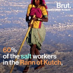 Rann Ragged: The Hardships Of Making Salt