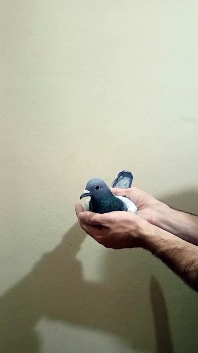 23-6790