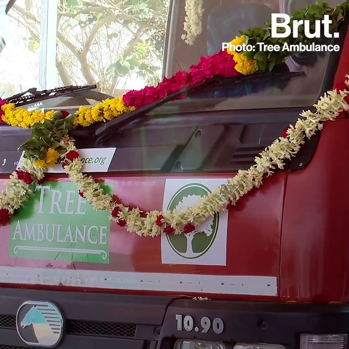 Chennai Gets An Ambulance Just For Trees