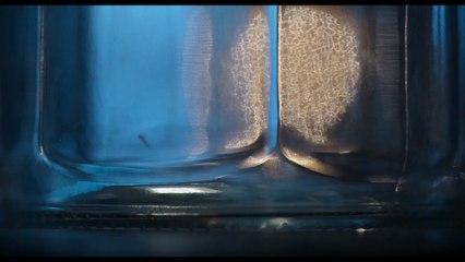 Sting. Araña asesina - Tráiler