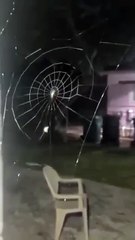 CCTV VIRAL FOOTAGE | Nature | Aallah Is the Best Creator | Kamran Malik