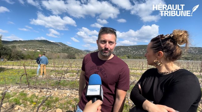 Agriculture repensée en vallée de l'Hérault : interview de Julien Perez et Maeva Spies, apiculteurs installés à Aniane