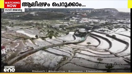 അസീറിൽ ആലിപ്പഴ വർഷം തുടരും; നേരിയ മഴക്ക് സാധ്യത