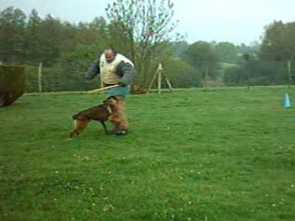 attaque de face, vick en entrainement Ring