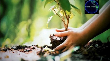 #The Microscopic Menace